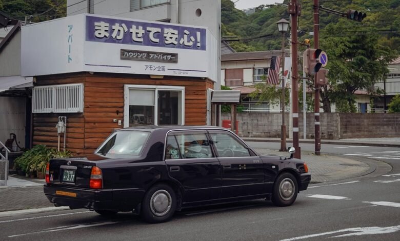 global license plate diversity