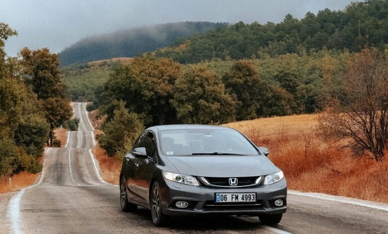 guide to beautiful car plates