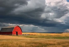 Farmers' Guide to Success: Selecting the Best Agricultural Building Construction Professional