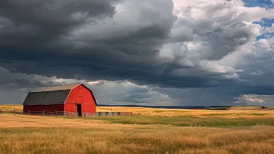 Farmers' Guide to Success: Selecting the Best Agricultural Building Construction Professional