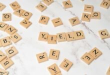 diversify portfolio for maximum returns