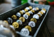 investing for long term growth