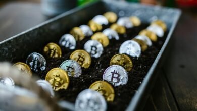 investing for long term growth