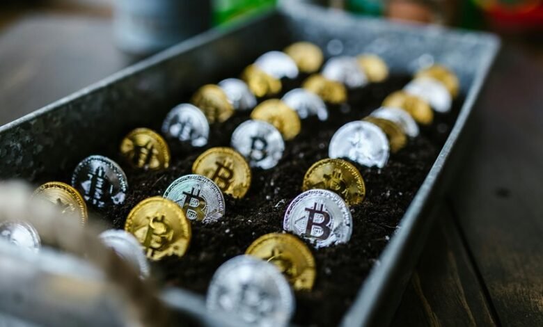 investing for long term growth