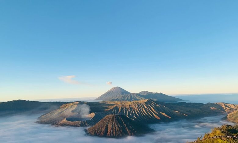 identifier provenance structuring sheet