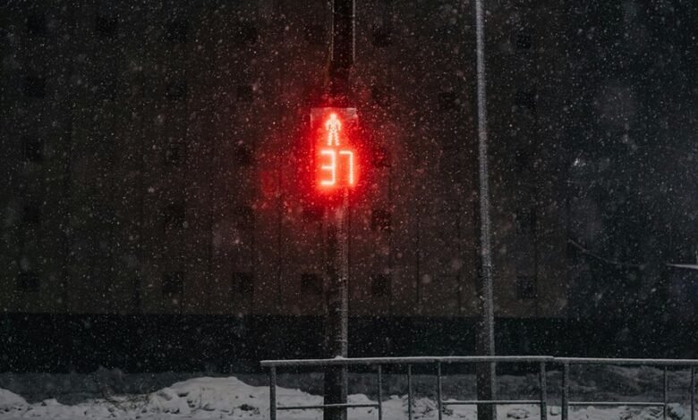 numeric signal attribution summary