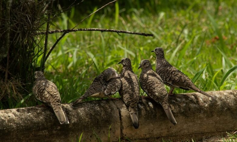 numeric traceability governance log