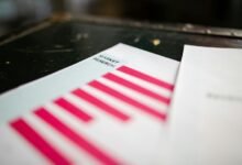 contact details report summary