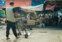 market trends of alpha horizon