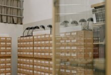 advanced connectivity observation archive