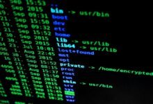 structured network observation file identifiers