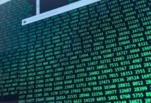 hidden numeric identities decoded here