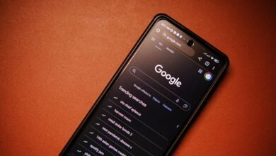 phone numbers with lookup results