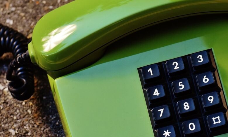 reveal phone lookup details
